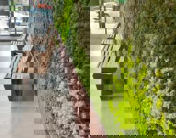 Moswand en een bankje in de hal van een woongebouw 