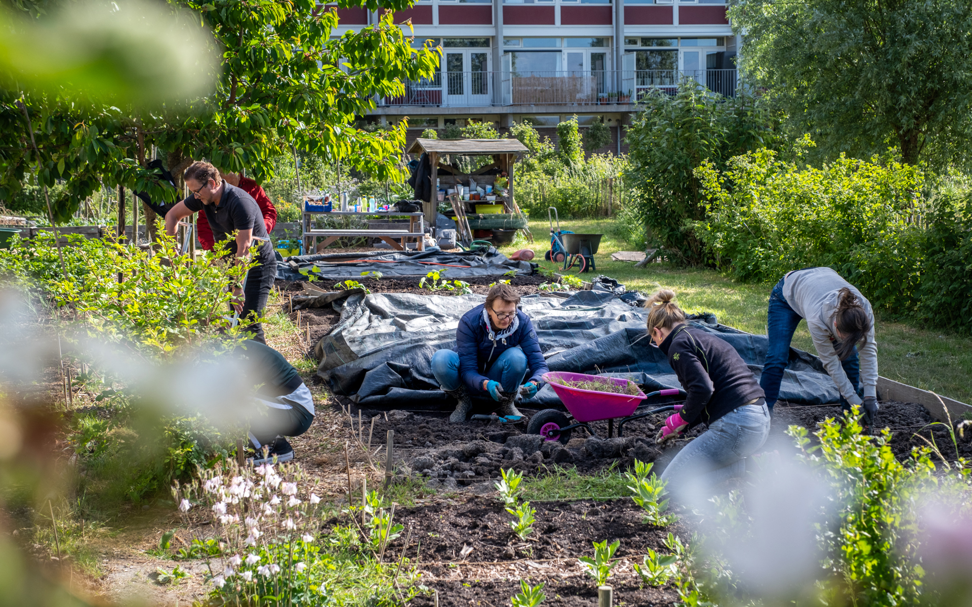 Collega's Intermaris werken in een moestuin