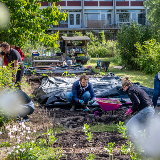 Collega's Intermaris werken in een moestuin