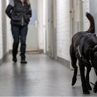 Politiehond loopt langs garageboxen